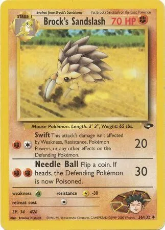 Brock's Sandslash [Swift | Needle Ball]