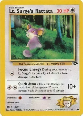 Lt. Surge's Rattata [Focus Energy | Quick Attack]