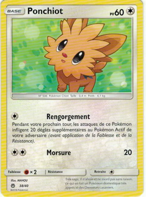Lillipup [Work Up | Bite]