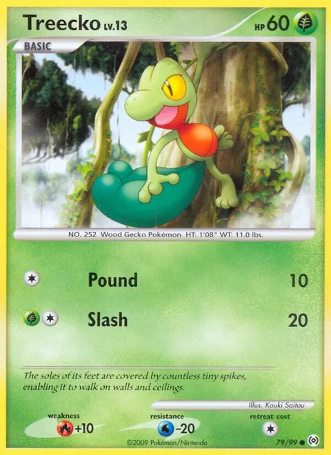 Treecko Lv.13 [Pound | Slash]