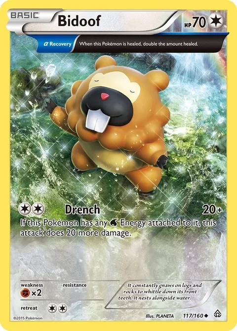 Bidoof [Drench]