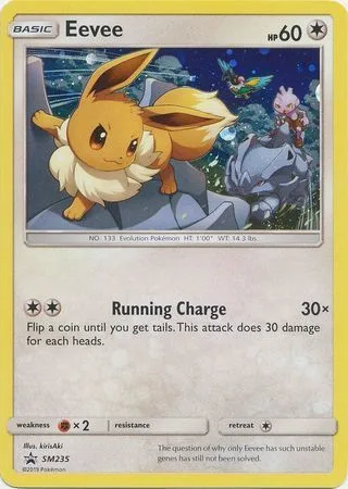 Eevee [Running Charge]