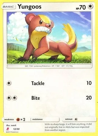Yungoos [Tackle | Bite]