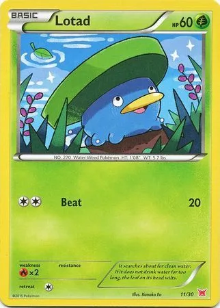 Lotad #01