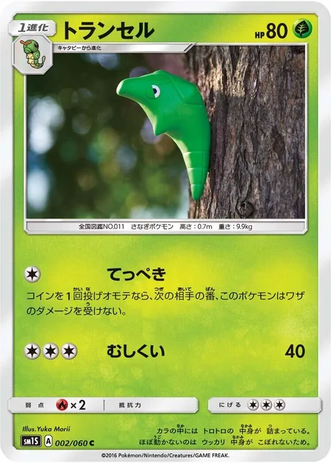 Metapod [Iron Defense | Bug Bite]