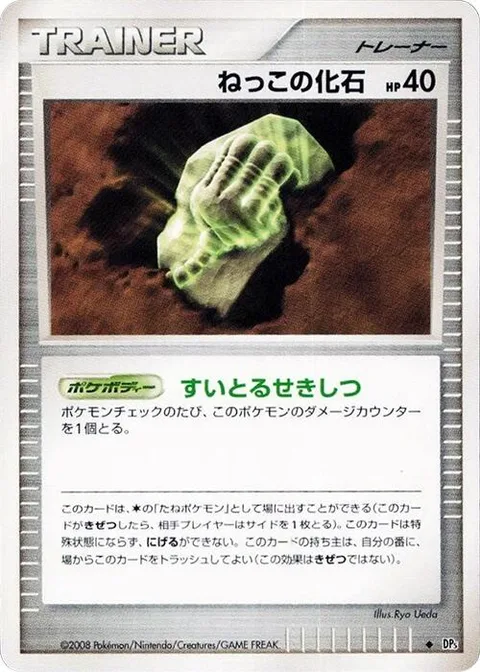 Root Fossil [Spongy Stone]