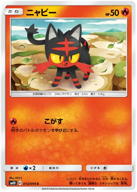Litten [Singe]