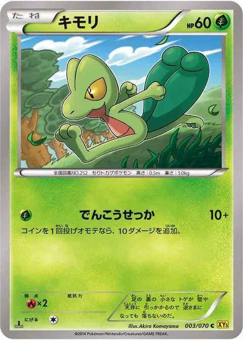 Treecko [Quick Attack]