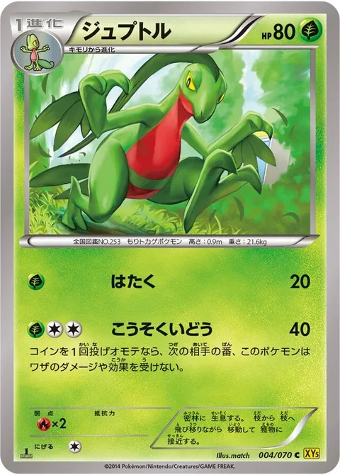 Grovyle [Pound | Agility]