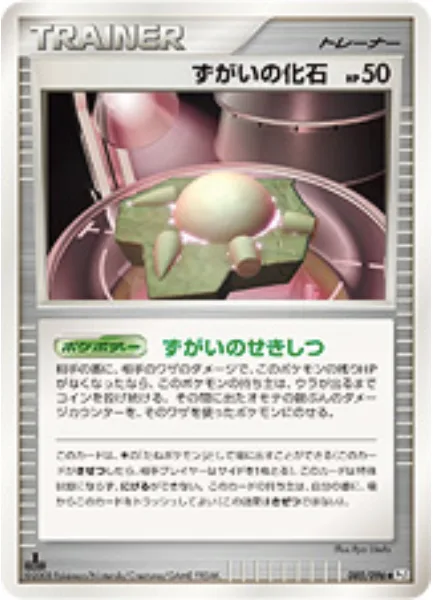 Skull Fossil [Skull Stone]