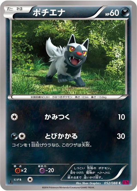 Poochyena [Bite | Lunge]