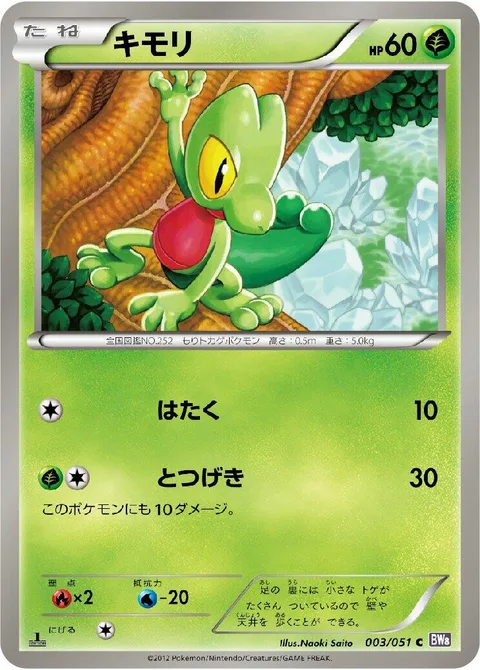 Treecko [Pound | Reckless Charge]