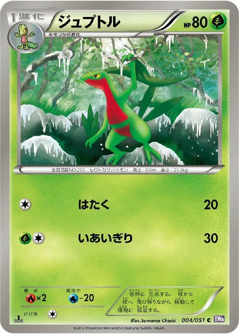 Grovyle [Pound | Cut]