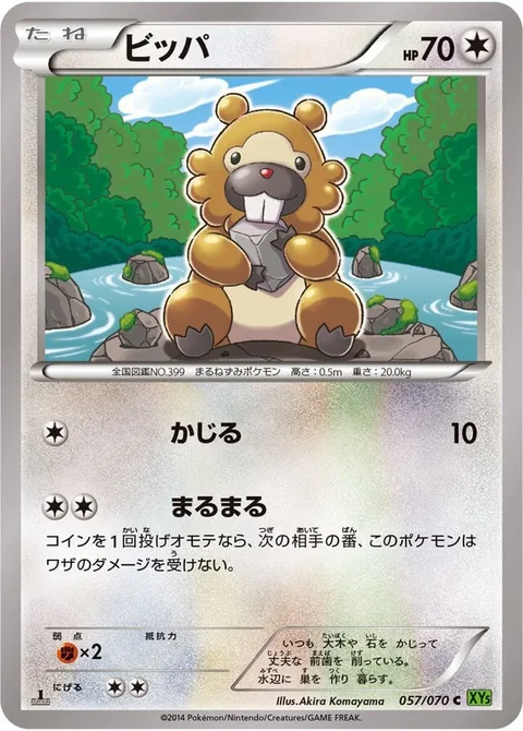 Bidoof [Gnaw | Scrunch]