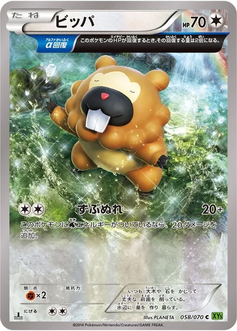 Bidoof [Drench]
