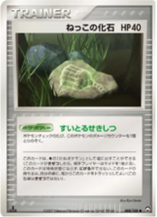 Root Fossil [Spongy Stone]