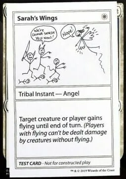 Sarah's Wings
