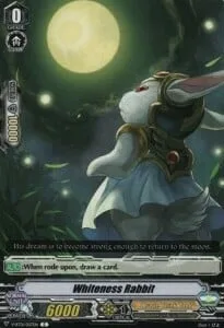 Whiteness Rabbit [V Format]