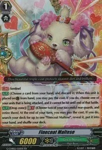 Finecoat Maltese [G Format]