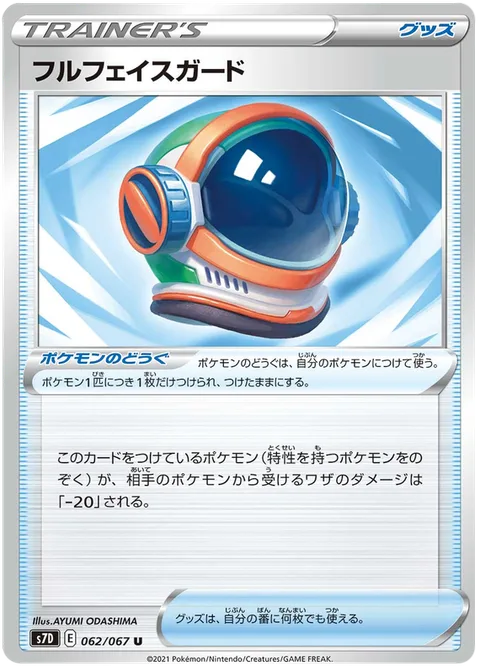 Full Face Guard