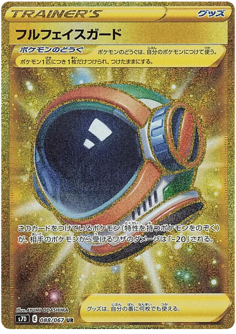 Full Face Guard