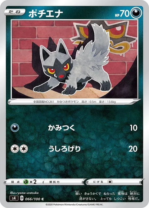 Poochyena [Bite | Rear Kick]