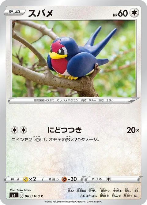 Taillow [Double Peck]