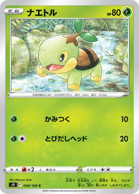 Turtwig [Bite | Headbutt Bounce]