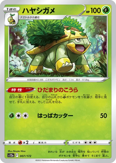 Grotle [Sun-Drenched Shell | Razor Leaf]