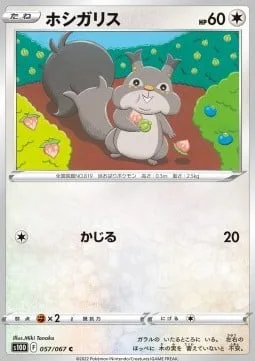 Skwovet [Gnaw]