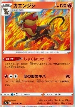 Pyroar [Scorching Aura | Fire Fang]