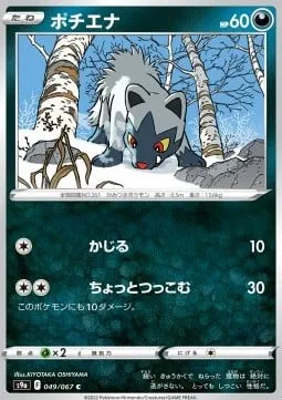 Poochyena [Gnaw | Slight Intrusion]