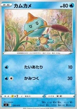 Chewtle [Tackle | Bite]
