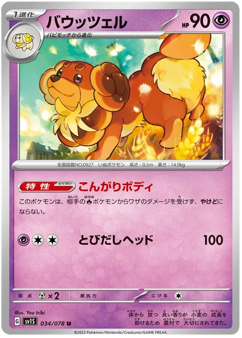 Dachsbun [Well-Baked Body | Headbutt Bounce]