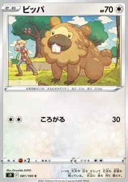 Bidoof [Rollout]