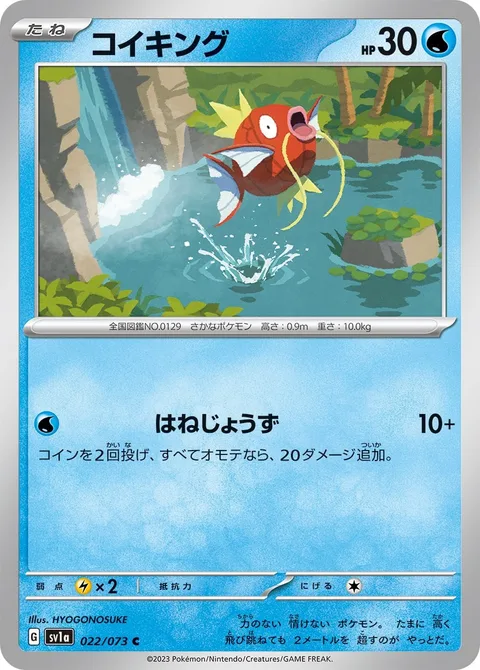 Magikarp [Expert Splasher]