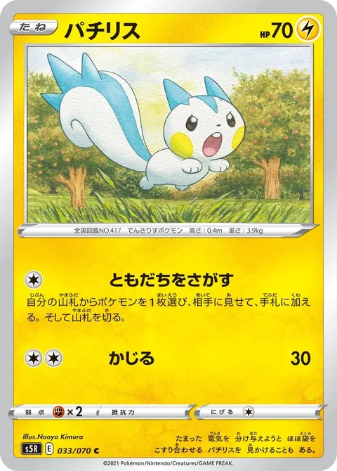 Pachirisu [Find a Friend | Gnaw]