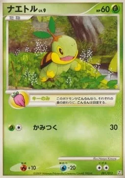 Turtwig Lv.9 [Persim Berry | Bite]