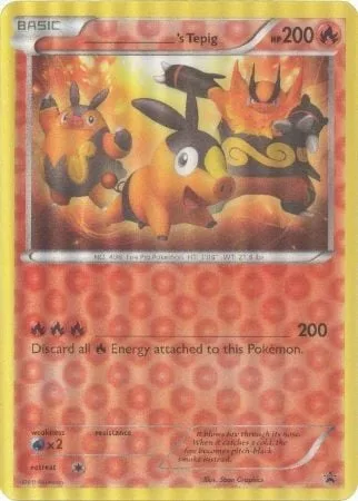 _____'s Tepig
