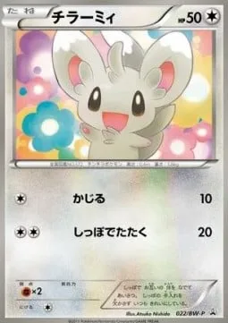 Minccino [Gnaw | Tail Smack]