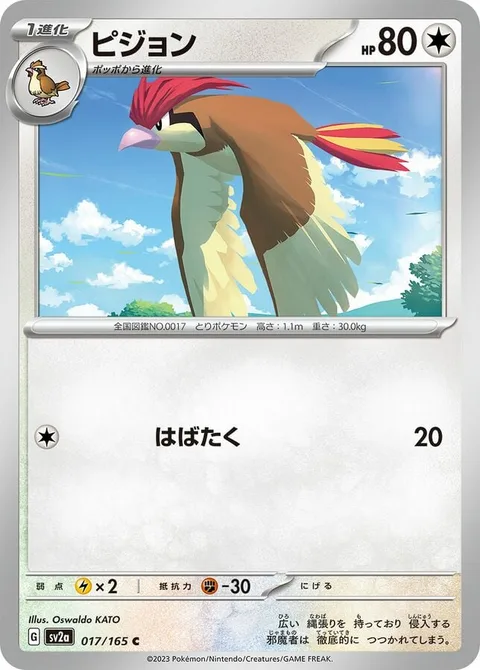 Pidgeotto [Flap]