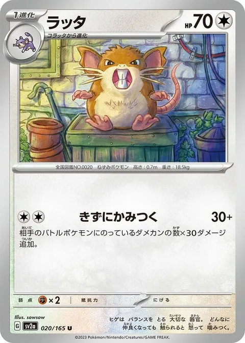 Raticate [Second Bite]