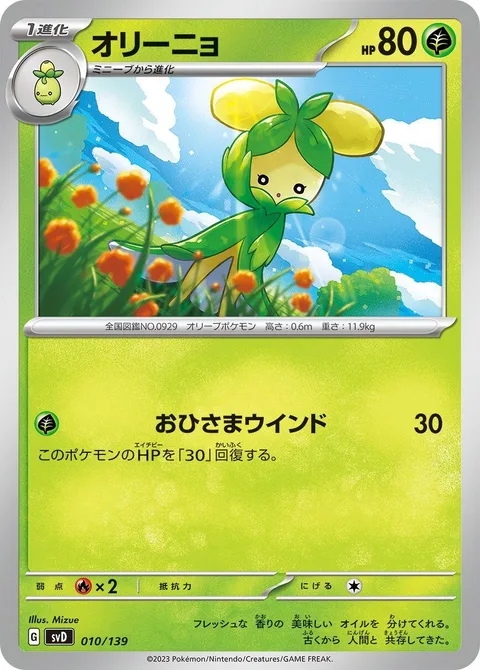 Dolliv [Sunny Wind]
