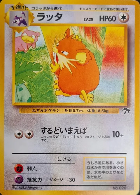 Raticate [Sharp Teeth]