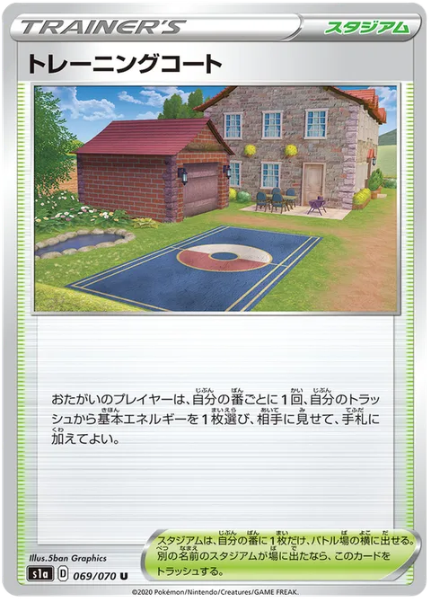 Training Court