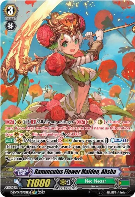 Ranunculus Flower Maiden, Ahsha [P-Format]