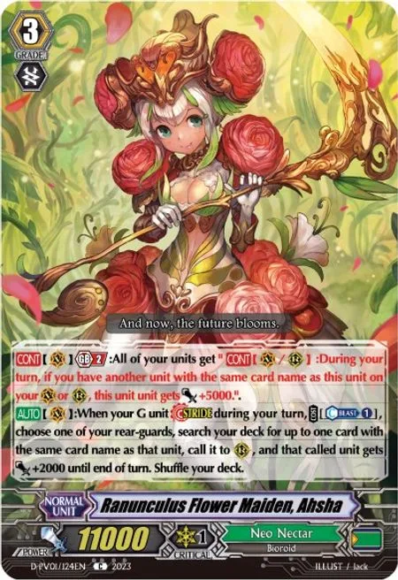 Ranunculus Flower Maiden, Ahsha [P-Format]