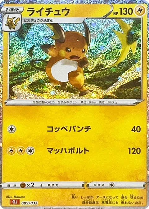 Raichu [Pain-Full Punch | Mach Bolt]