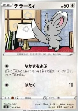 Minccino [Call for Family | Pound]