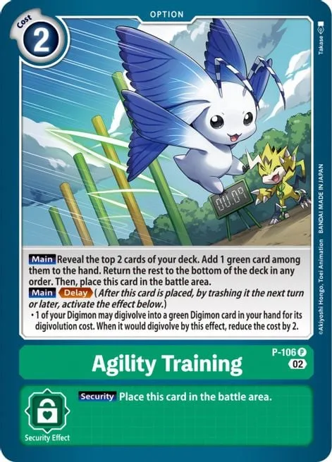 Agility Training (P-106)